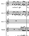 die notationsphase